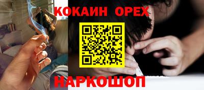 индика Лесосибирск