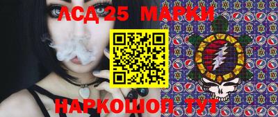 индика Лесосибирск