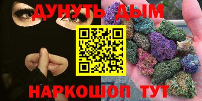 индика Лесосибирск