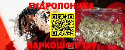 индика Лесосибирск
