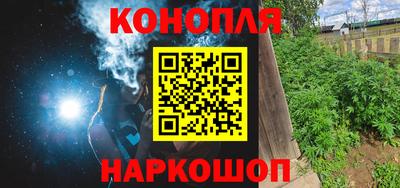 индика Лесосибирск