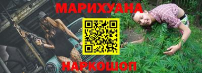 индика Лесосибирск