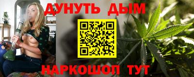 индика Лесосибирск
